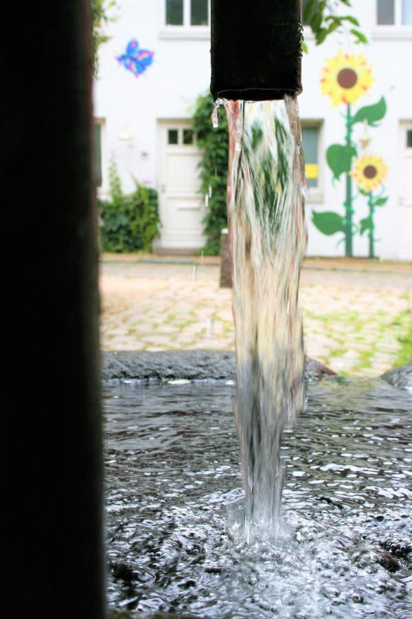 Zentrale Ferienwohnung Anker Im Sonnenblumenhaus Flensbourg Extérieur photo